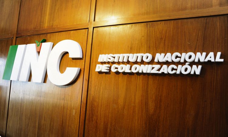 Próximo presidente de Colonización continuará con las políticas ya diseñadas