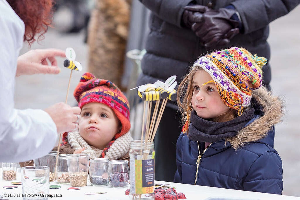 ¿Un mundo sin insectos? 10 acciones sencillas que podés hacer desde tu lugar para protegerlos