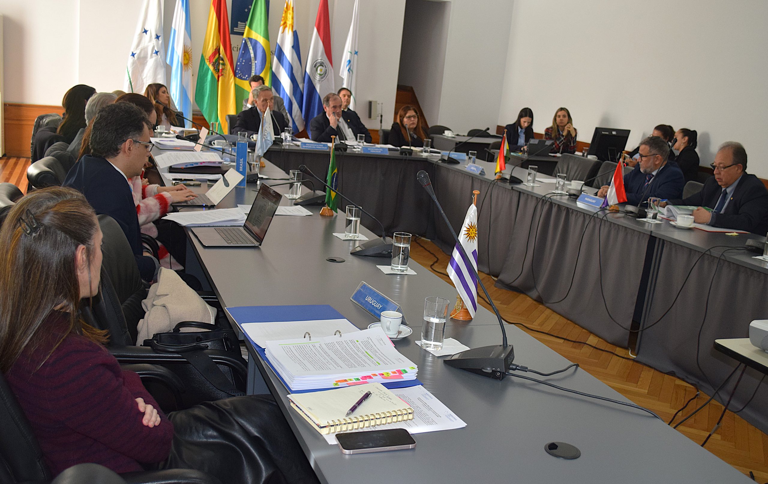 Argentina presidió última reunión de la CRPM del semestre