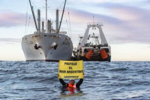 Día Mundial de los Océanos: ¿qué soluciones aportan estos ecosistemas al planeta? 