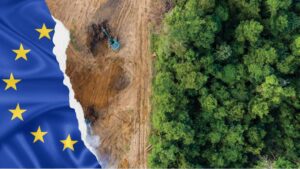 Reclamo a la UE por calificación de la Argentina bajo normativa unilateral europea sobre deforestación