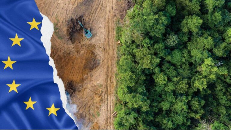 Reclamo a la UE por calificación de la Argentina bajo normativa unilateral europea sobre deforestación