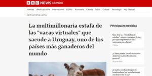 La BBC pone los ojos en el escándalo ganadero uruguayo