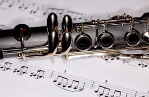 Por qué la madera negra africana es un tesoro biológico y la más cara del mundo