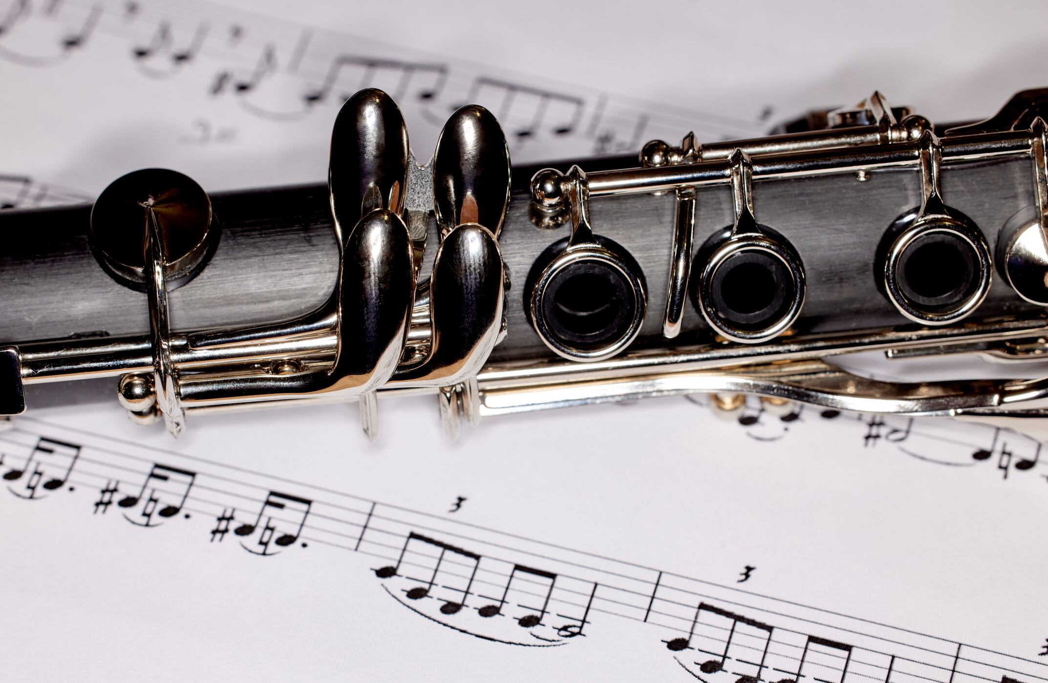 Por qué la madera negra africana es un tesoro biológico y la más cara del mundo