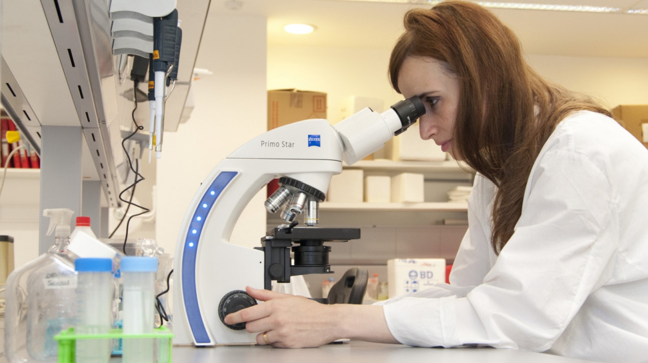 Se lanzó el IX Programa Ejecutivo de Cooperación Científica y Tecnológica