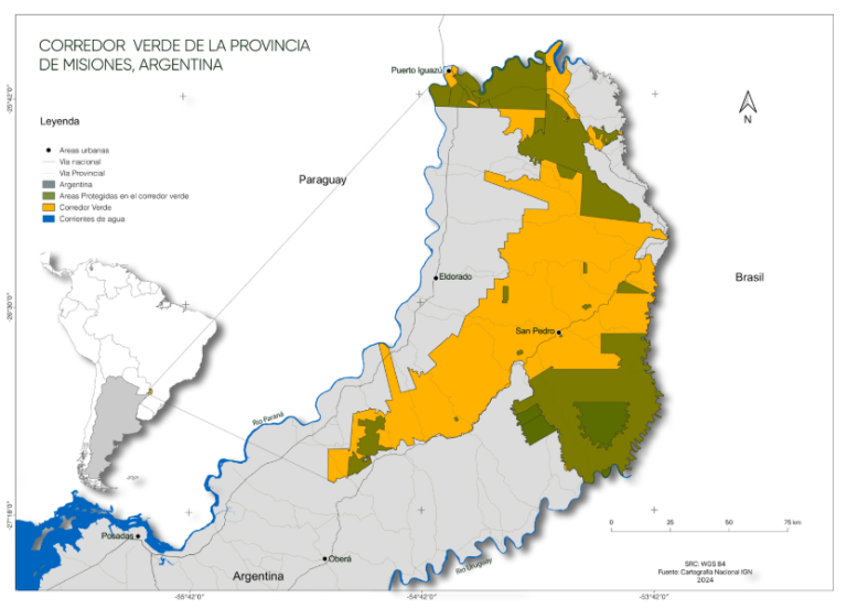 En Misiones, el desmonte no para: En 30 años se perdieron cerca de 130 mil hectáreas de bosque nativo, dentro del Corredor Verde de esa provincia