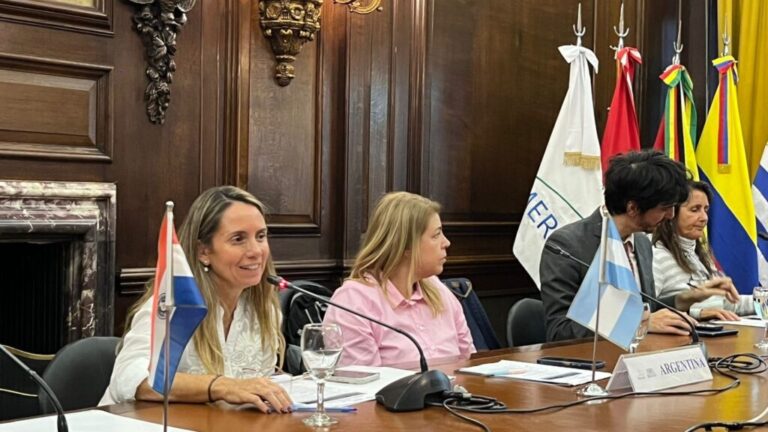 EI ISM participó de la LV Reunión del CISM y la LXII Reunión del GT-RMADS