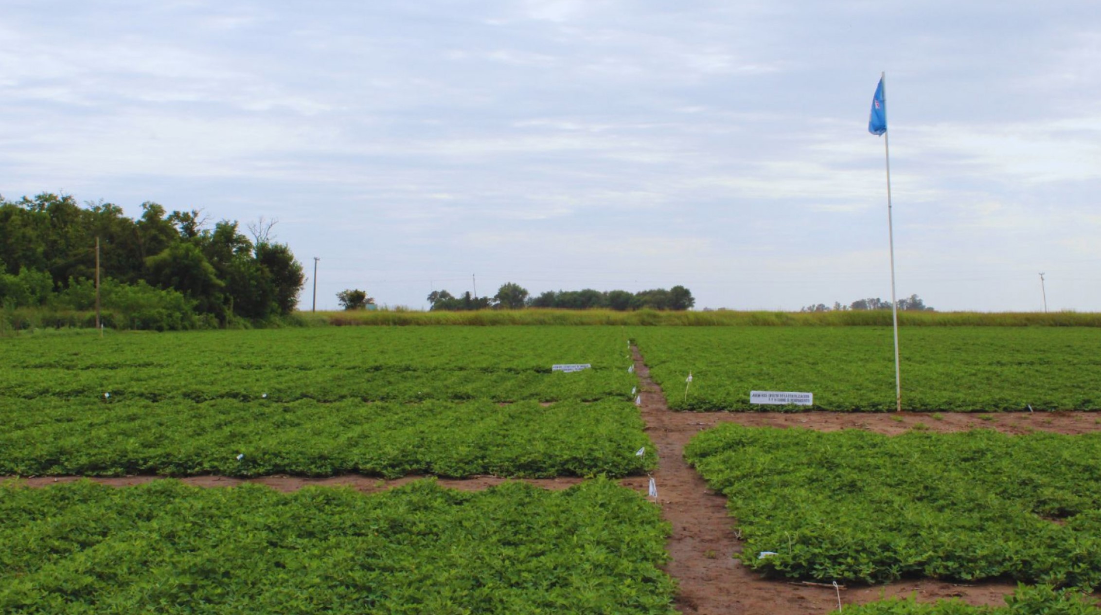 Articulación que acelera la llegada de la tecnología al campo