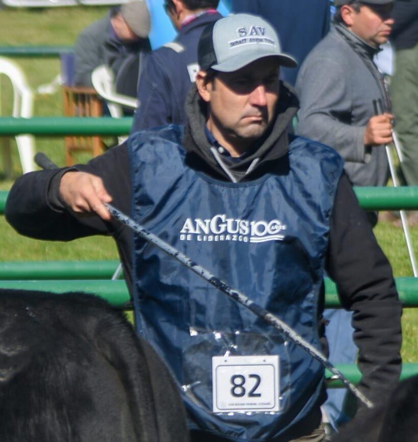 “Para nosotros es una salvación que nieve”, describe el veterinario Mauricio Zampedri, que está a cargo de una cabaña ovina y bovina en Chubut hoy teñida completamente de blanco