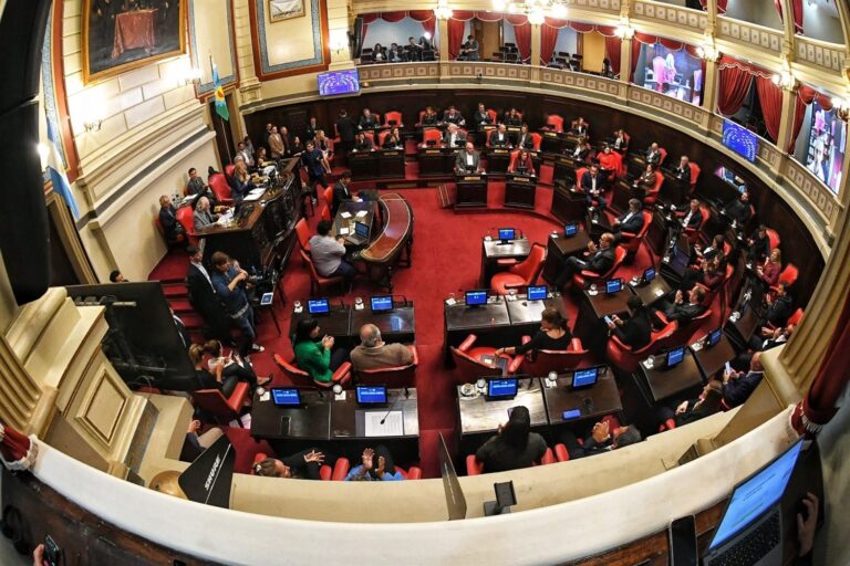 El Senado vuelve a la cancha: relecciones indefinidas, endeudamiento y más jueces