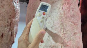 Nuevo procedimiento oficial refuerza control en carnes de exportación