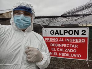 La historia de Hugo Contreras demuestra que es posible criar gallinas felices en Río Gallegos, a pesar del frío, del viento y de la interminable burocracia con que tuvo que enfrentarse