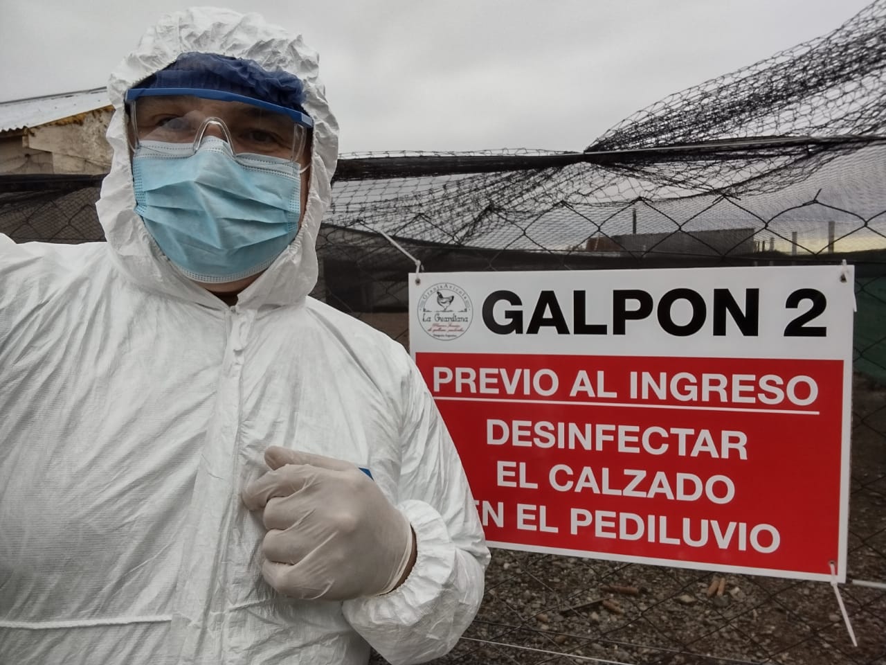 La historia de Hugo Contreras demuestra que es posible criar gallinas felices en Río Gallegos, a pesar del frío, del viento y de la interminable burocracia con que tuvo que enfrentarse