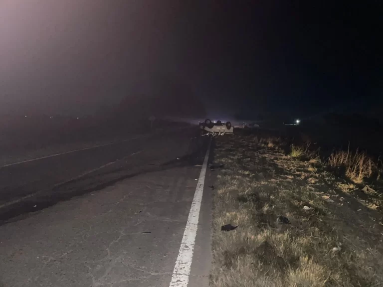 Trágico accidente en la Ruta 65: falleció un matrimonio de Junín