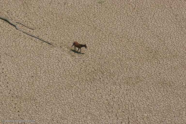 Es tiempo de restaurar la tierra: la regeneración como solución a la desertificación y la sequía