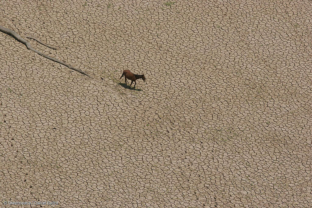 Es tiempo de restaurar la tierra: la regeneración como solución a la desertificación y la sequía