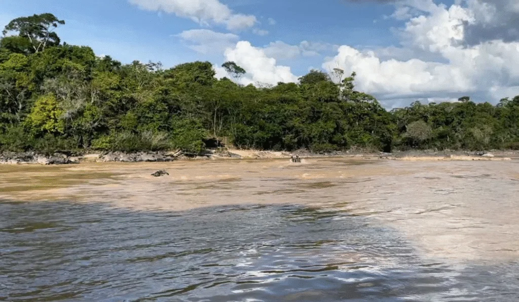 Hallan sin vida a militar guyanés que cayó accidentalmente al río Cuyuní