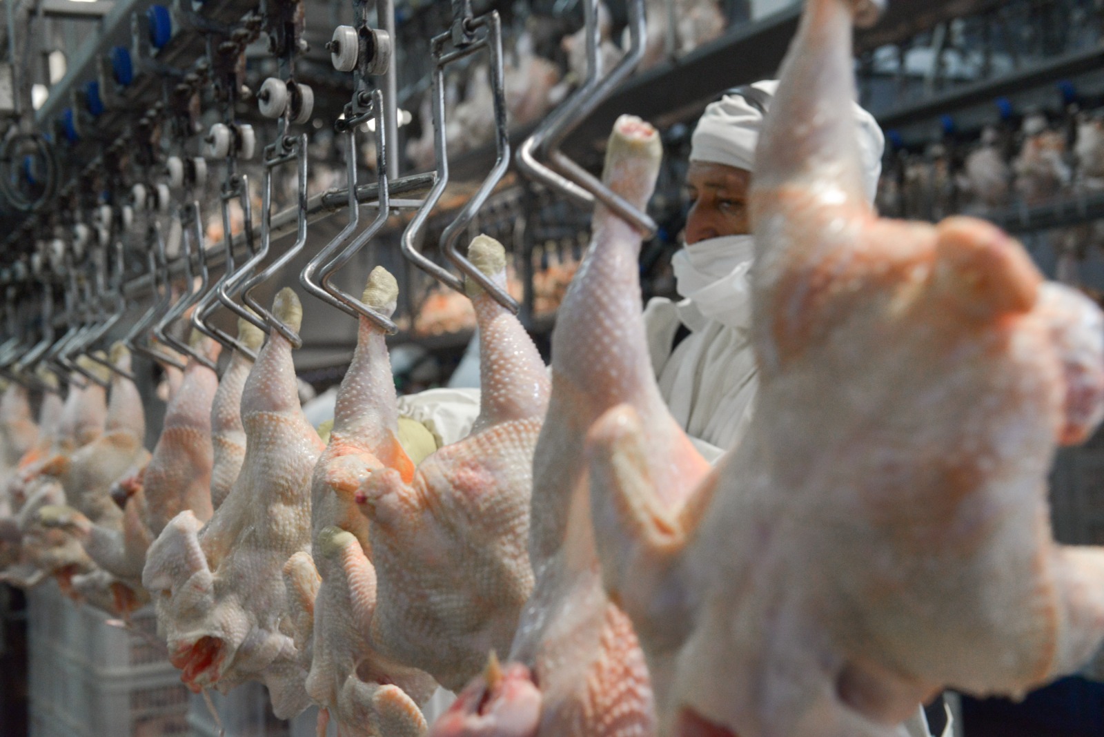 Argentina reabre el mercado de Japón para carne aviar