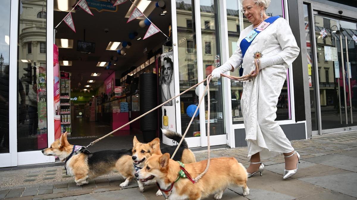 Razas de perro sin cola: genética, curiosidades y bienestar animal