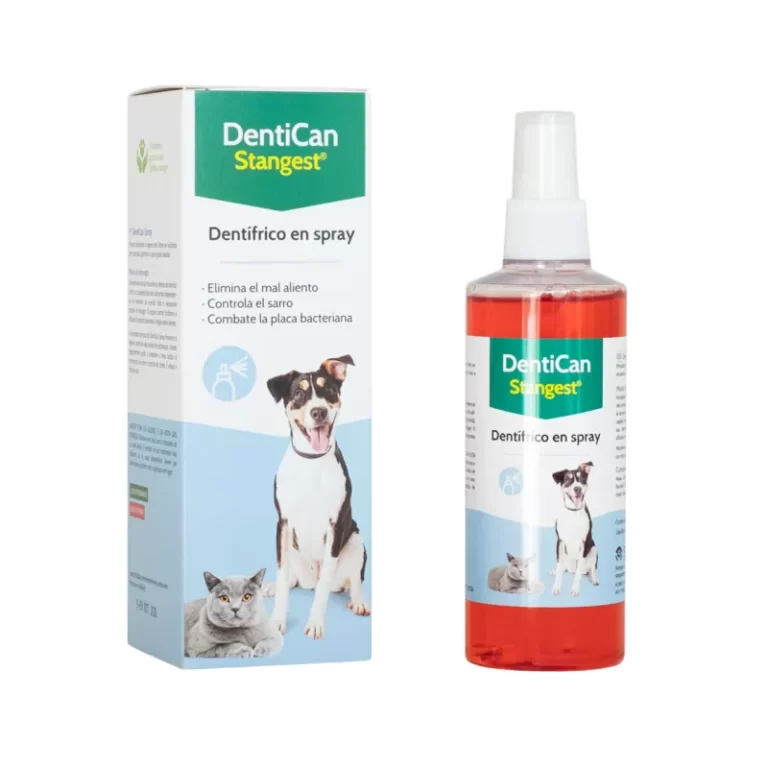 ¿Por qué mi perro tiene mal aliento?