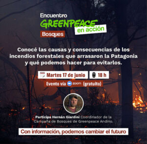 Por los bosques andino patagónicos: vivimos un Encuentro Greenpeace en Acción para aprender a defenderlos