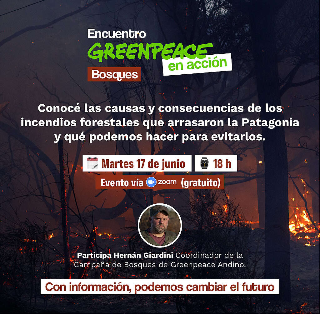 Por los bosques andino patagónicos: vivimos un Encuentro Greenpeace en Acción para aprender a defenderlos