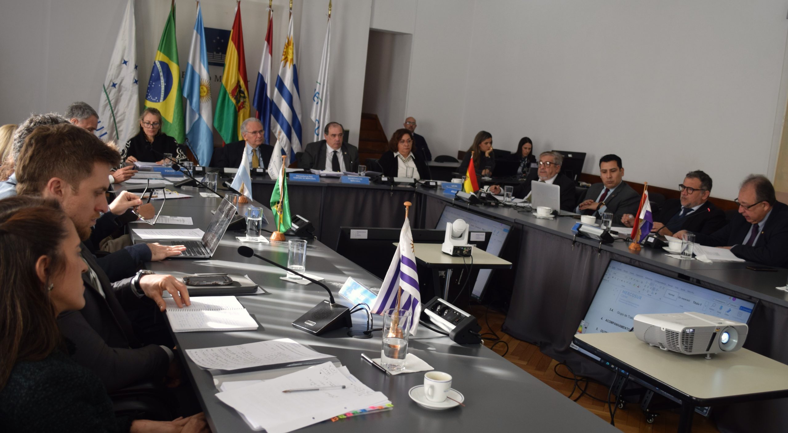 Brasil presidió la primera reunión de la CRPM del semestre