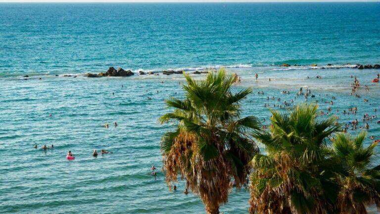 Mediterráneo, evangélicos y cambio climático