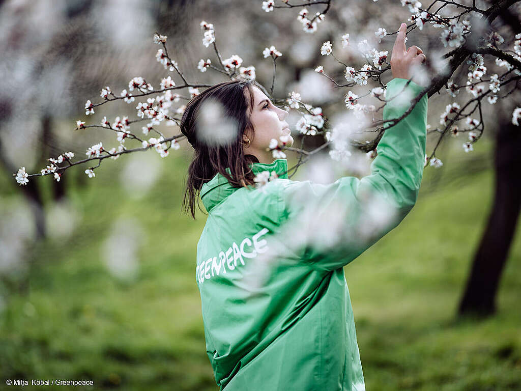Ceguera vegetal: qué es y cómo afecta la conservación de nuestro planeta Ceguera vegetal: qué es y cómo afecta la conservación de nuestro planeta