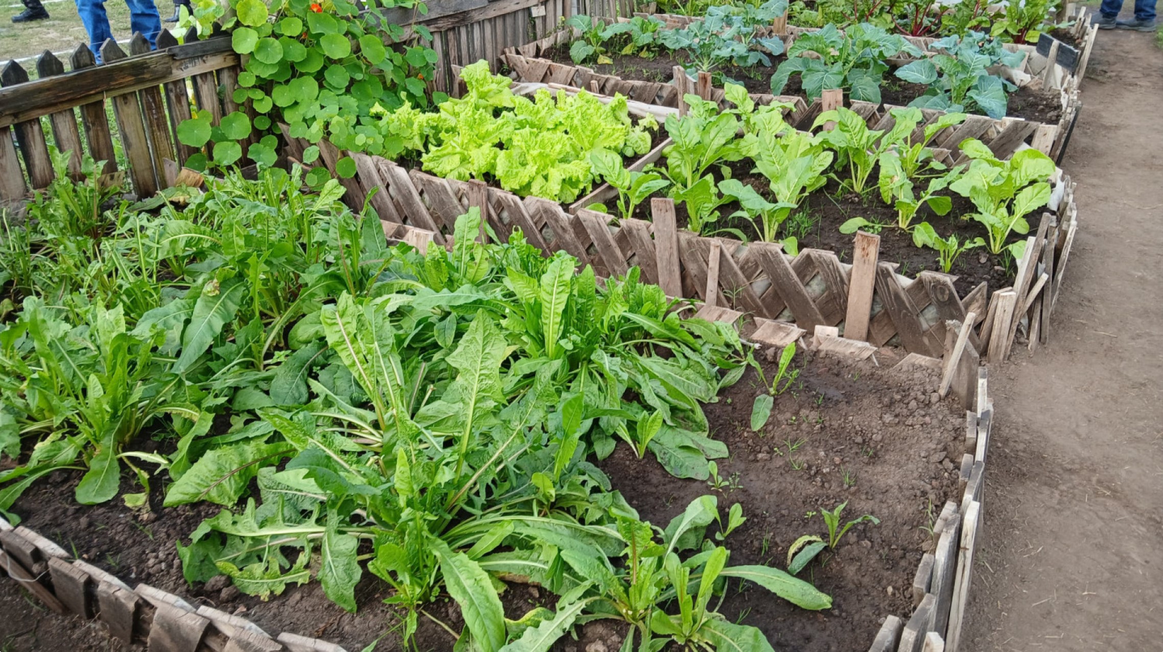 El Gobierno Nacional impulsa la capacitación en producción agropecuaria en las cárceles de todo el país