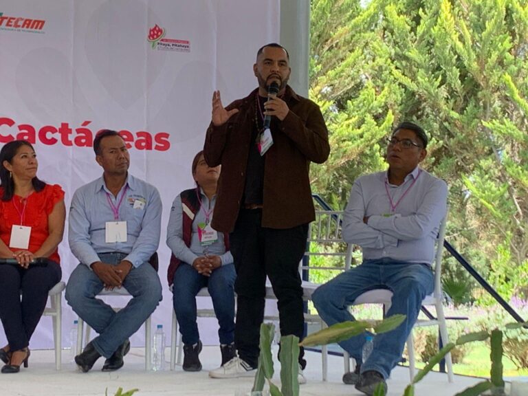Imagen de WhatsApp 2025-07-10 a las 19.56.21_3f34c99c