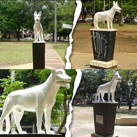 Imagen del parque del perro