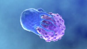 Investigadores españoles destacan «resultados prometedores» en terapias con células CAR-T.