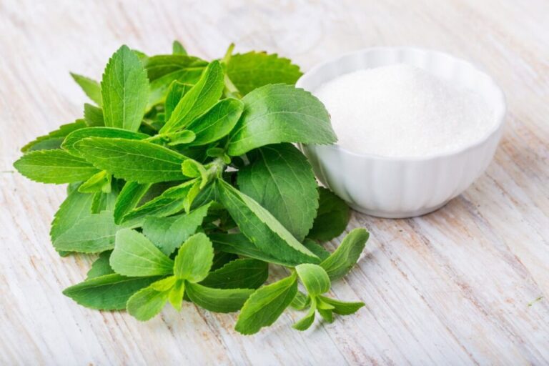 ¿Más que un edulcorante? Revelan el potencial anticancerígeno del extracto de stevia fermentada.