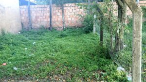 Indignante: sanitario clausurado desde hace años obliga a niños a compartir baño con adolescentes en colegio de Ypacaraí