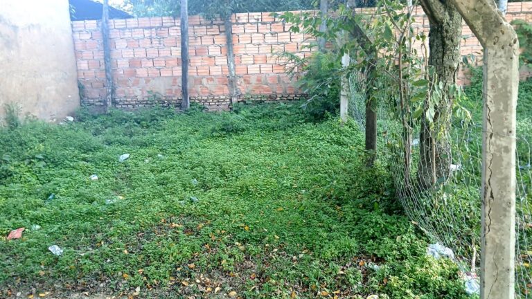 Indignante: sanitario clausurado desde hace años obliga a niños a compartir baño con adolescentes en colegio de Ypacaraí