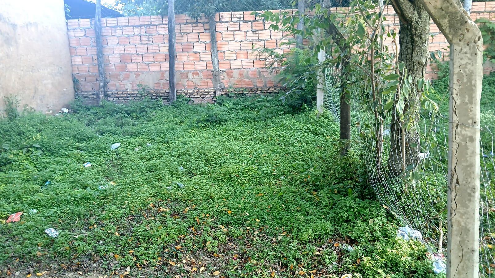 Indignante: sanitario clausurado desde hace años obliga a niños a compartir baño con adolescentes en colegio de Ypacaraí