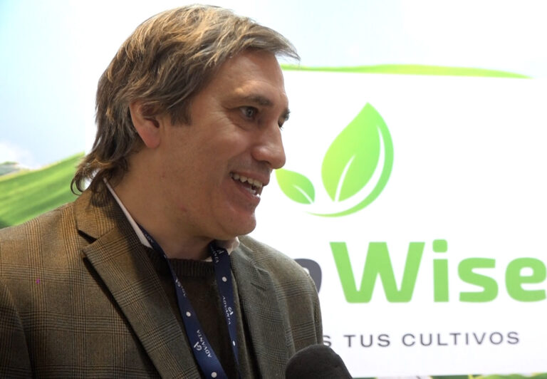 Tormenta casi perfecta sobre el trigo: “No hay margen de error y muchas empresas están viendo cómo no perder plata”, advirtió el analista Sebastián Salvaro