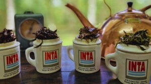 Té argentino: una infusión con calidad internacional