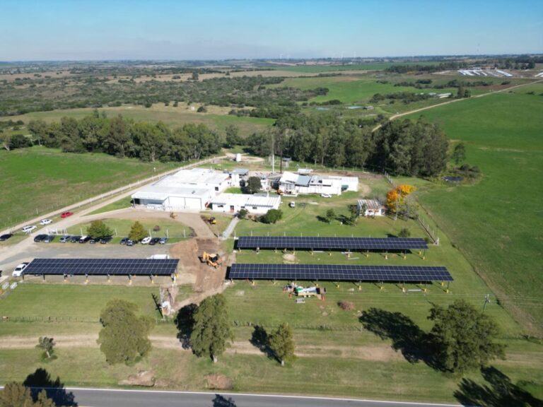 Se concreta importante emprendimiento de energía solar: Quedó operativa planta fotovoltaica de Granja Naturalia