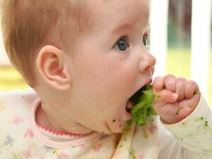 Método BLISS: qué es y en qué se diferencia del BLW tradicional