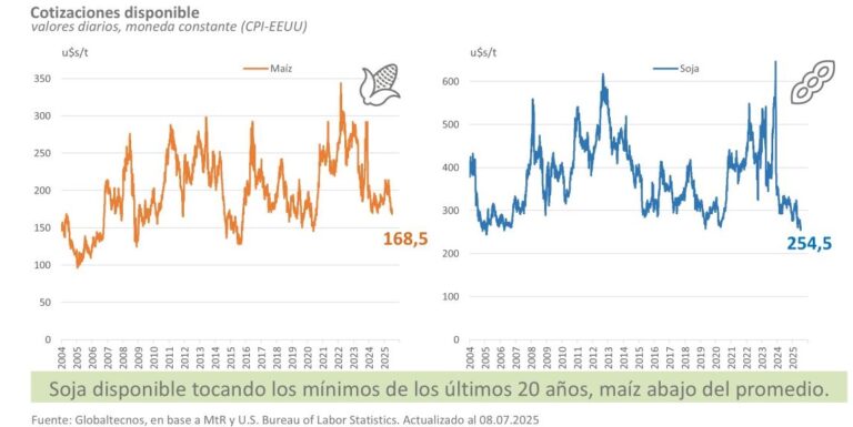 Titanic agrícola argento: Faltan vender 28 millones de toneladas de soja y los precios alcanzaron el nivel más bajo de las últimas dos décadas
