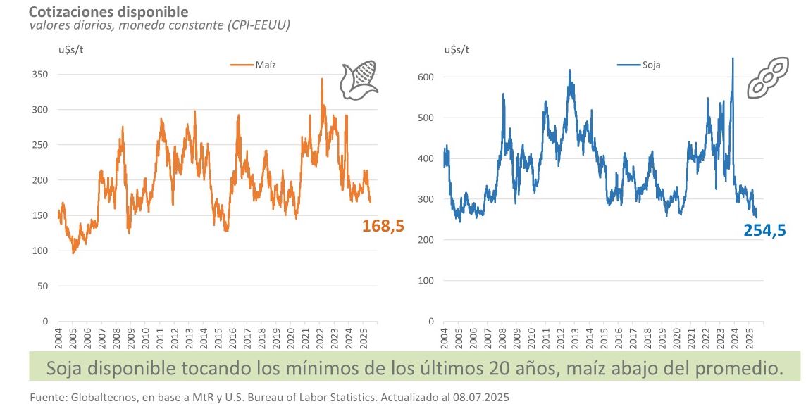 Titanic agrícola argento: Faltan vender 28 millones de toneladas de soja y los precios alcanzaron el nivel más bajo de las últimas dos décadas