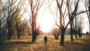 Evangelista, deja que la doctrina de la predestinación golpee tu corazón