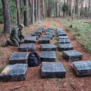 Gendarmería secuestró un valioso cargamento con una tonelada de droga en Misiones