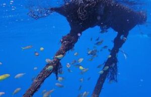 Este verano tiene algunos de los días más cortos de la historia