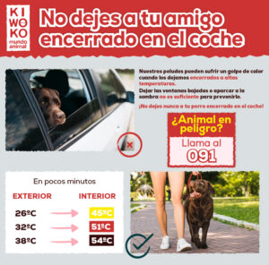 ¿Se puede dejar a un perro encerrado en el coche? Todo lo que necesitas saber para no poner en riesgo su vida
