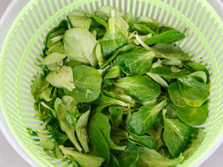 Ensalada de canónigos y aguacate