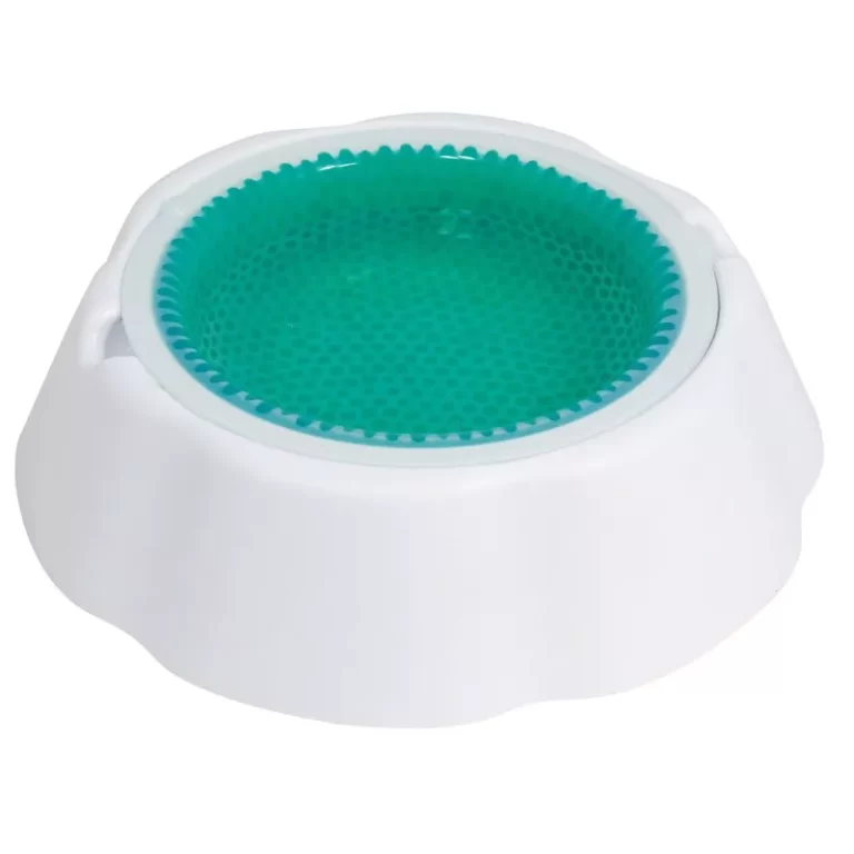 7 accesorios para mascotas que debes tener este verano 2025